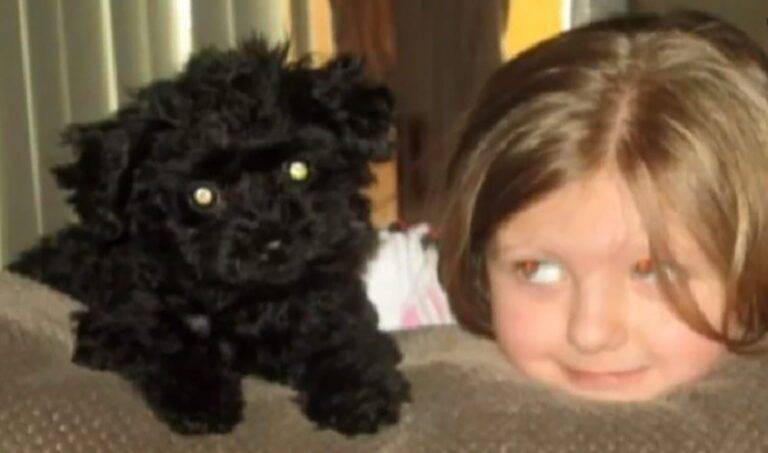 Small black dog and young girl with light brown hair resting heads together on a brown surface, both gazing peacefully to the side.