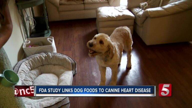 Dog on wooden floor by pet bed and sofa as news headline warns FDA links some dog foods to canine heart disease risk.