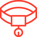 Professional Grooming