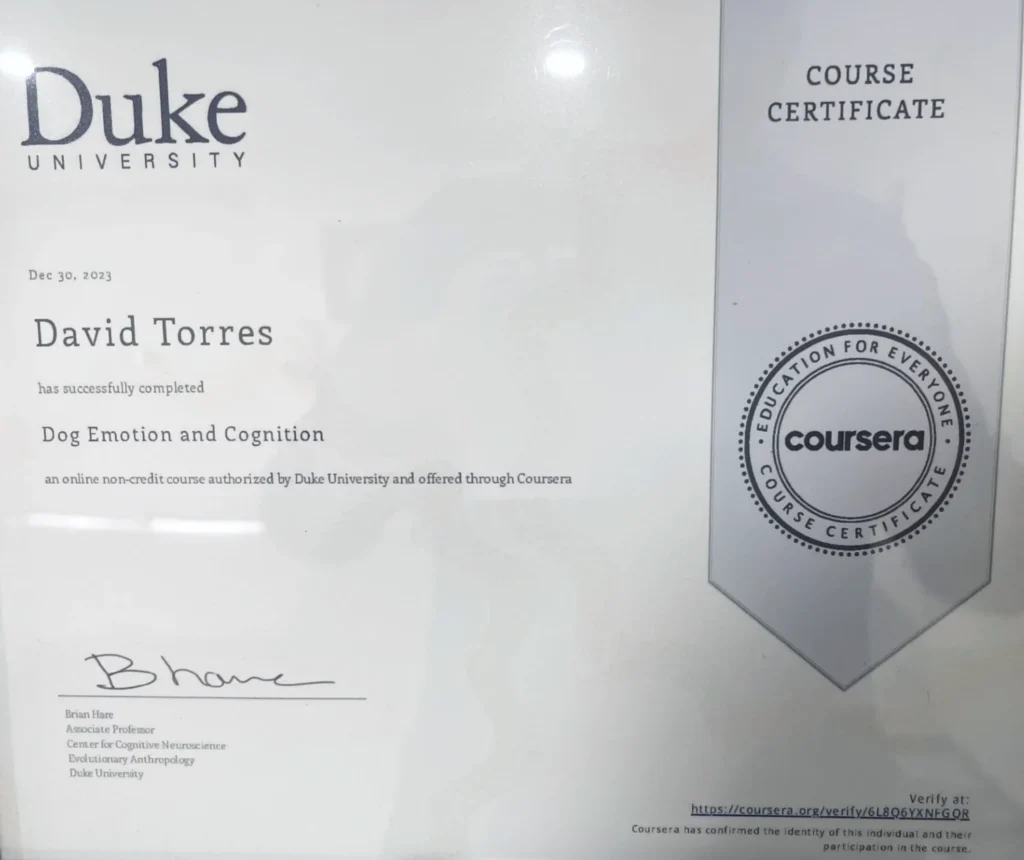 Duke University certificate for David Torres completing "Dog Emotion and Cognition" on Dec 30, 2023, signed by Brian Hare.