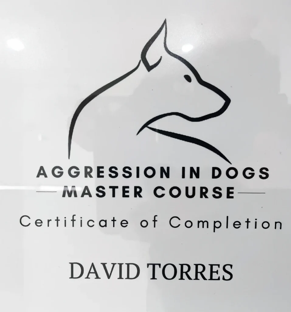 Aggression in Dogs Master Course certificate for David Torres with minimalist dog outline, showcasing dog training expertise.