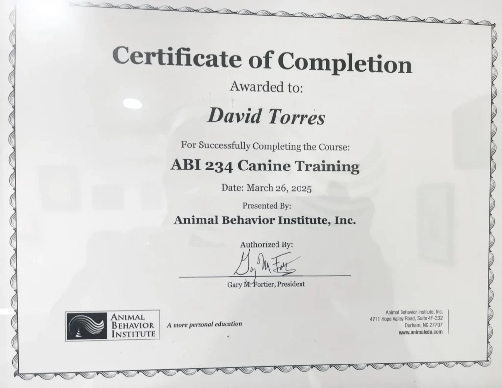 Certificate of Completion for David Torres, ABI 234 Canine Training in pet care and grooming, dated March 26, 2025.